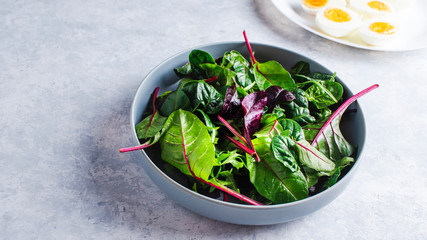 chard salad in a blue bowl on a blue background
