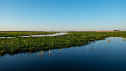 Wetland area in Biebrza National Park, by the village of Goniadz in eastern Poland.