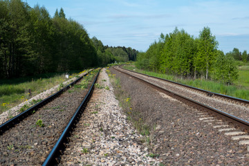 Fototapeta na wymiar Railroad through lush deciduous forest, near the border to Belarus, in eastern Poland.