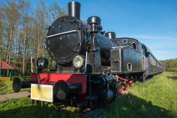 Fototapeta na wymiar Old trains on a derelict railway in Bialowieza, near the Belarusian border in eastern Poland.