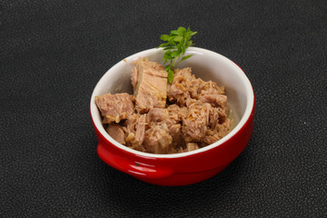 Canned tuna fish in the bowl