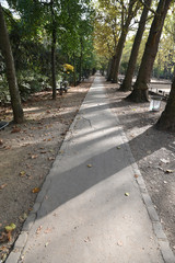 Allée du jardin du Luxembourg à Paris, France