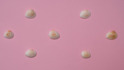 Different seashells on a bright pink background , the concept of holidays by the sea.