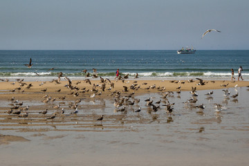 View of the coastline in Portugal.
