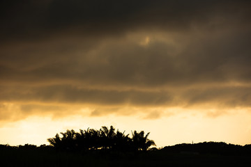Fototapeta na wymiar 日本最南端、沖縄県波照間島・2月の風景
