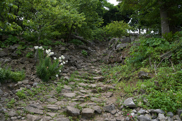 世界遺産　今帰仁城