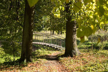 Autumn park, golden leaves, sun and bridge.