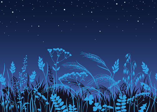 Seamless Border  with Wild Plants  in Moonlight