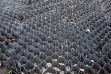 Fototapeta premium Polymer geogrid is not filled with soil