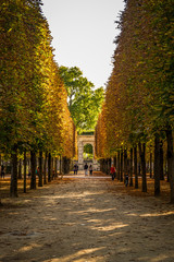 Obraz premium Jardin des Tuileries in Paris, France.