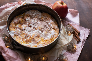 Homemade pie with apples and cinnamon. Dessert