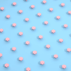 Minimal pattern of pink flower and shadow on blue background. Pastel color style. 3D rendering.