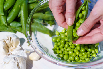 Close up of the hands of a woman shelling peas from the pod inside a glass bowl outdoors with sunlight