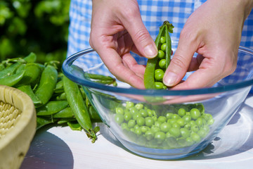 Woman with apron shells peas inside a glass bowl outdoors with strong sunlight in the greenery