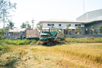combine harvester working on a field