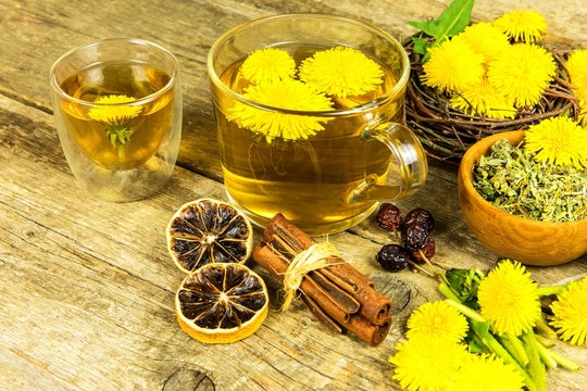 Fototapeta Herbal tea infusion of fresh dandelion leaf, with yellow blossoms. Medicinal plant dandelion (Taraxacum officinale). Traditional medicine. Medicinal herb.