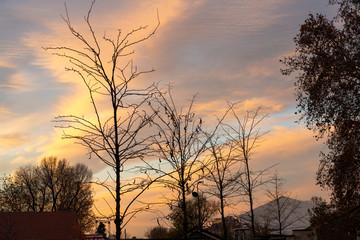 Fototapeta premium Sunset in Milan, italy