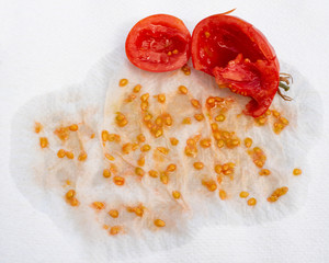 Squashed Tomato And Seeds