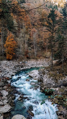 Bergbach in Scheffau, Österreich im Herbst