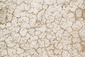 the texture of the ground