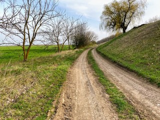 Long and dusty dry dirt road
winding between a green field and trees

