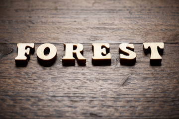 Fototapeta premium Forest word view