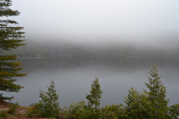 Paysage brouillard
