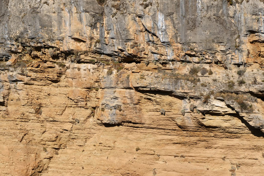 Background: Beige sandstone wall / rock in the Alhama Gorge near Alhama de Granada, Spain, Europe
