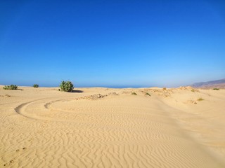 Fototapeta na wymiar Beautiful Sand dunes near Ocean in Salalah, Oman