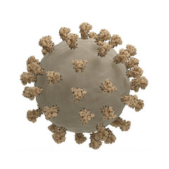 SARS-CoV-2 Virus
Illustration based on actual structural biology data with accurate scaling:
Surface spikes based on Cryo-EM structure of spike glycoprotein (Veesler et ali., 2020).