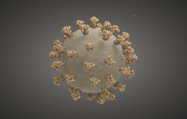 SARS-CoV-2 Virus
Illustration based on actual structural biology data with accurate scaling:
Surface spikes based on Cryo-EM structure of spike glycoprotein (Veesler et ali., 2020).