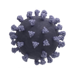 SARS-CoV-2 Virus
Illustration based on actual structural biology data with accurate scaling:
Surface spikes based on Cryo-EM structure of spike glycoprotein (Veesler et ali., 2020).