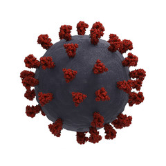 SARS-CoV-2 Virus
Illustration based on actual structural biology data with accurate scaling:
Surface spikes based on Cryo-EM structure of spike glycoprotein (Veesler et ali., 2020).