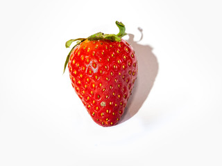 Fraise sur fond blanc