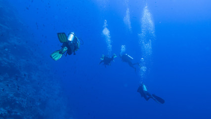 Peces exóticos de colores y formas extrañas en el fondo del mar, fotografía submarina, 
