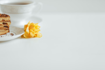 Slice of cake with cream on a white plate on a background in bright colors