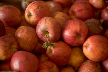 FRUITS