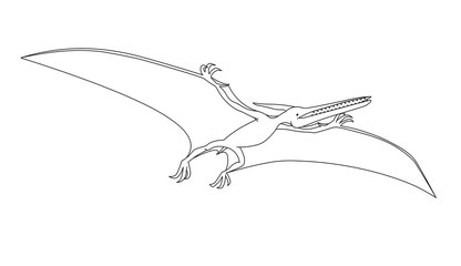 prehistoric reptile of the Jurassic period, flying pterodactyl with wings and a crest, vector illustration with black contour lines isolated on white background in cartoon and hand drawn style
