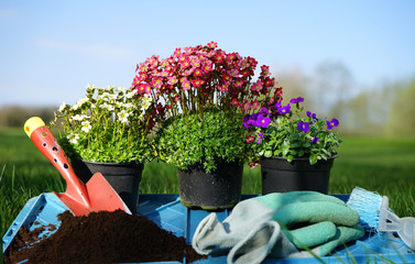 Gärtnern: Topfblumen, Gartenhandschuhe, Gartenschaufel, Blumenerde, Handfeger