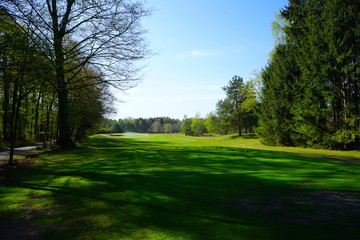 Fototapeta na wymiar Blick auf einen leeren Golfplatz / Golfbahn mit Rasensprenger im Frühling 