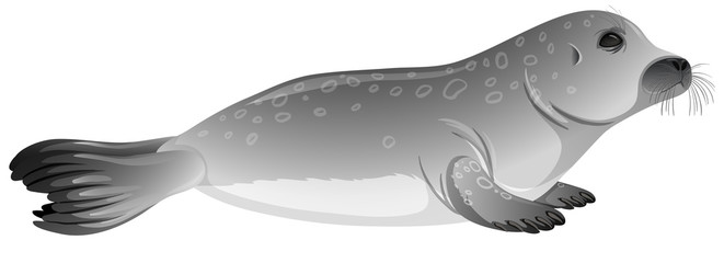 Little gray seal on white background © blueringmedia