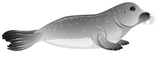 Little gray seal on white background © blueringmedia