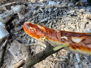 one sausages over an embers