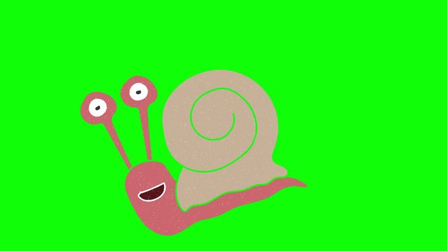 Snail hand drawn green screen. floating loop animation