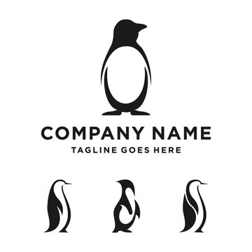 Penguin Logo Design. Penguin set Logo Template. Modern Design. Flat Logo. Vector Illustration