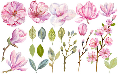 Fototapeta na wymiar Hand drawn watercolor set of blooming magnolia and green leaves. Perfect for creating cards, invitations, wedding design.