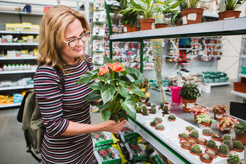 Woman chooses a flower in a garden store
