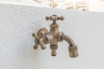 蛇口　Garden faucet mounted on the wall 