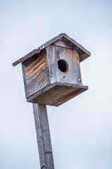 ことりの巣箱　small birdhouse on a hill