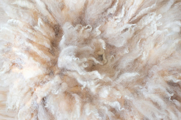 Beige piece of wool